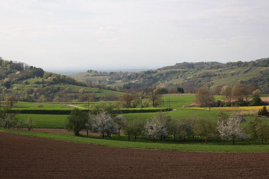 Blick auf die Bergstraße vom Odenwald