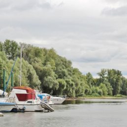 Bienensand Lampertheim