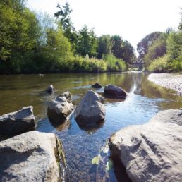 Fluss Weschnitz in Einhausen