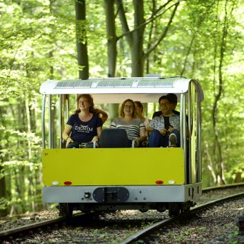 Solardraisine im Odenwald