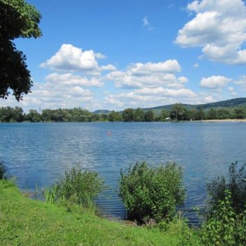 Wiesensee in Hemsbach