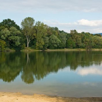 Bickenbacher Erlensee