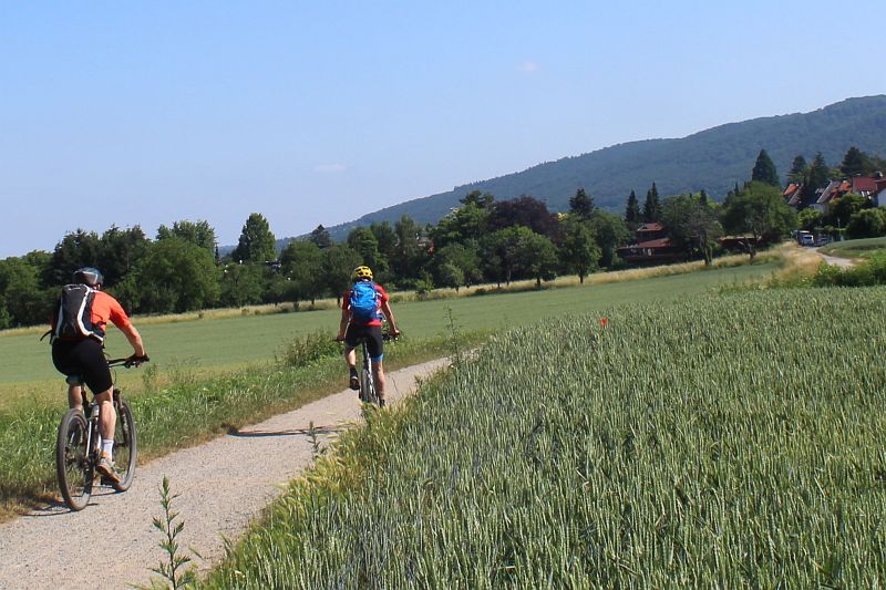 Radfahren an der Bergstraße