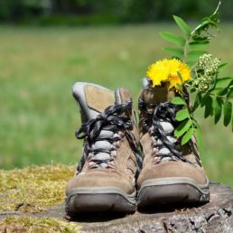 Wanderschuhe mit Blumen