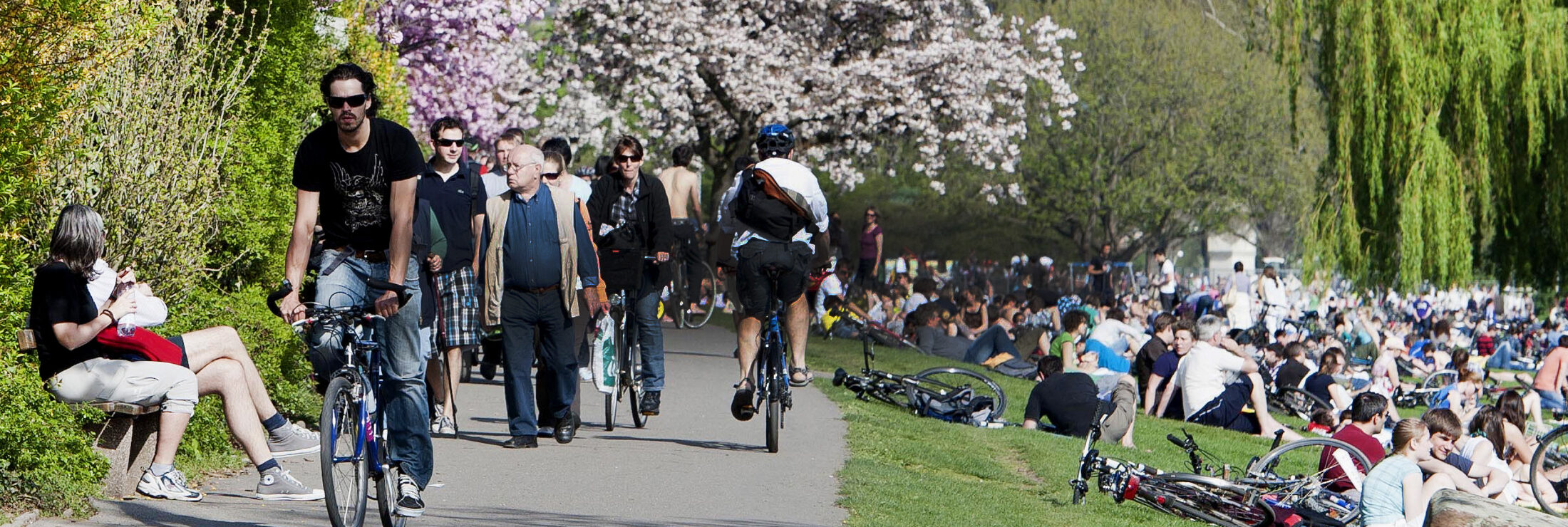 https://www.diebergstrasse.de/storage/2021/03/die-bergstrasse_tourismus-service-bergstrasse_ferienstrasse_neu_header.jpg