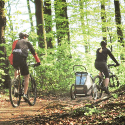 die-bergstrasse_tourismus-service-bergstrasse_radfahren