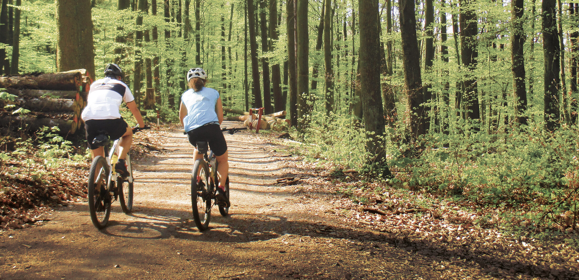 die_bergstrasse_tourismus-service-bergstrasse_titelbild_aktiv_natur_traube_mariazimmermann