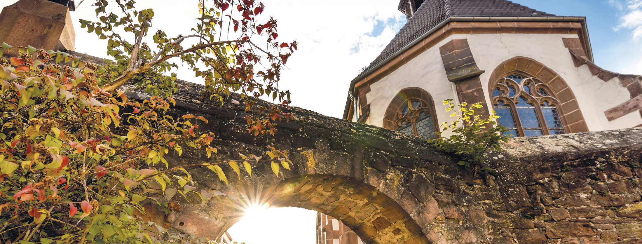 die_bergstrasse_tourismus-service-bergstrasse_titelbild_stadte_kultur_traube_ladenburg_neu