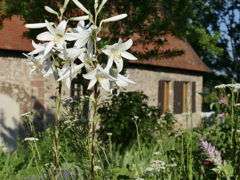 Kräutergarten Lorsch