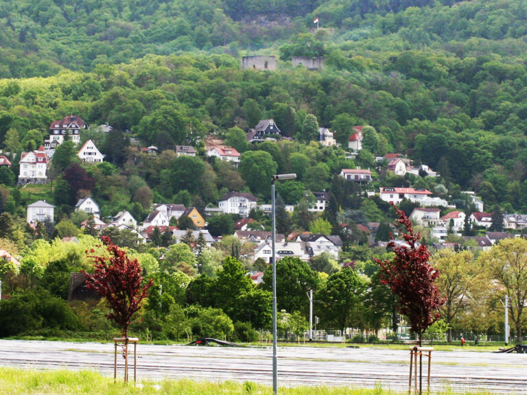 Blick aus der Ebene auf einige Häuser in Alsbach, die am Hügel liegen. Darüber sieht man das Alsbacher Schloss