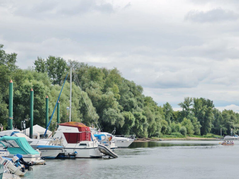 Segel- und Motorboote auf dem Altrhein in Lampertheim