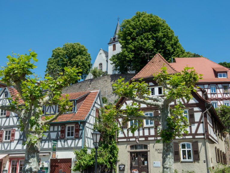 Fachwerkhäuser mit grünen Kastanienbäumen auf dem Zwingenberg Marktplatz mit Blick rauf zur Bergkirche.