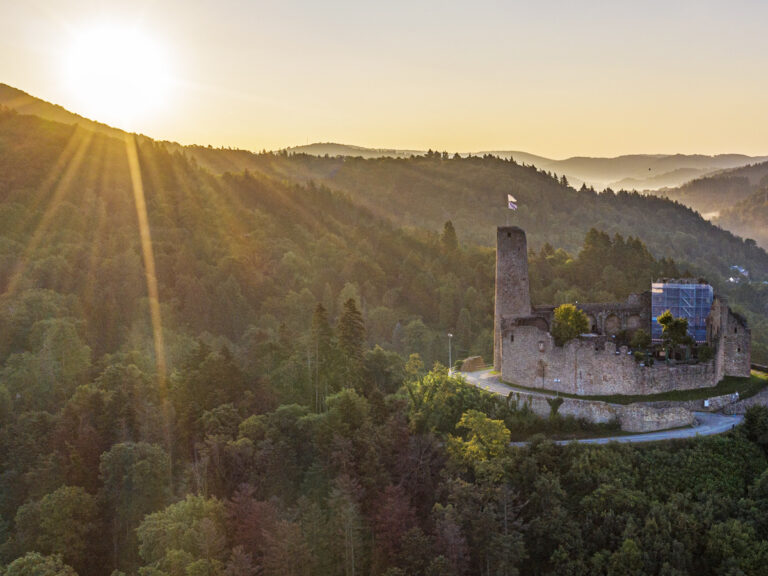 Ruine Windeck Weinheim