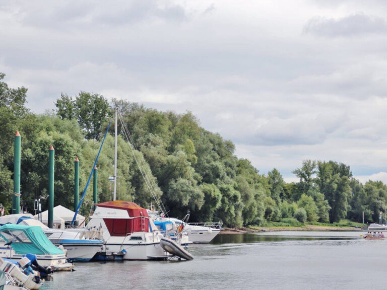 Lampertheim Altrhein