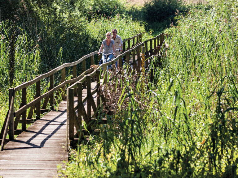 Radeln im Naturschutzgebiet Lampertheim