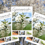 Magazin Genussreich Bergstraße erleben Titelseiten aufgefächert vor verschwommenen Frühlingsblüten