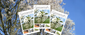 Magazin Genussreich Bergstraße erleben Titelseiten aufgefächert vor verschwommenen Frühlingsblüten