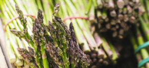 Nahaufnahme verschiedener Spargelsorten. Im Vordergrund ein Bund grüner Spargel