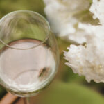 Stimmungsvolles Bild. Man sieht ein Glas mit Weißwein, im Hintergrund verschwommene weiße Blüten