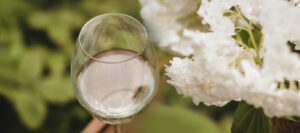 Stimmungsvolles Bild. Man sieht ein Glas mit Weißwein, im Hintergrund verschwommene weiße Blüten
