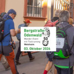 Viele Menschen wandern bei schönem Wetter durch Weinheims Altstadt